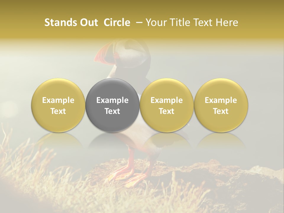 One Sea Life PowerPoint Template