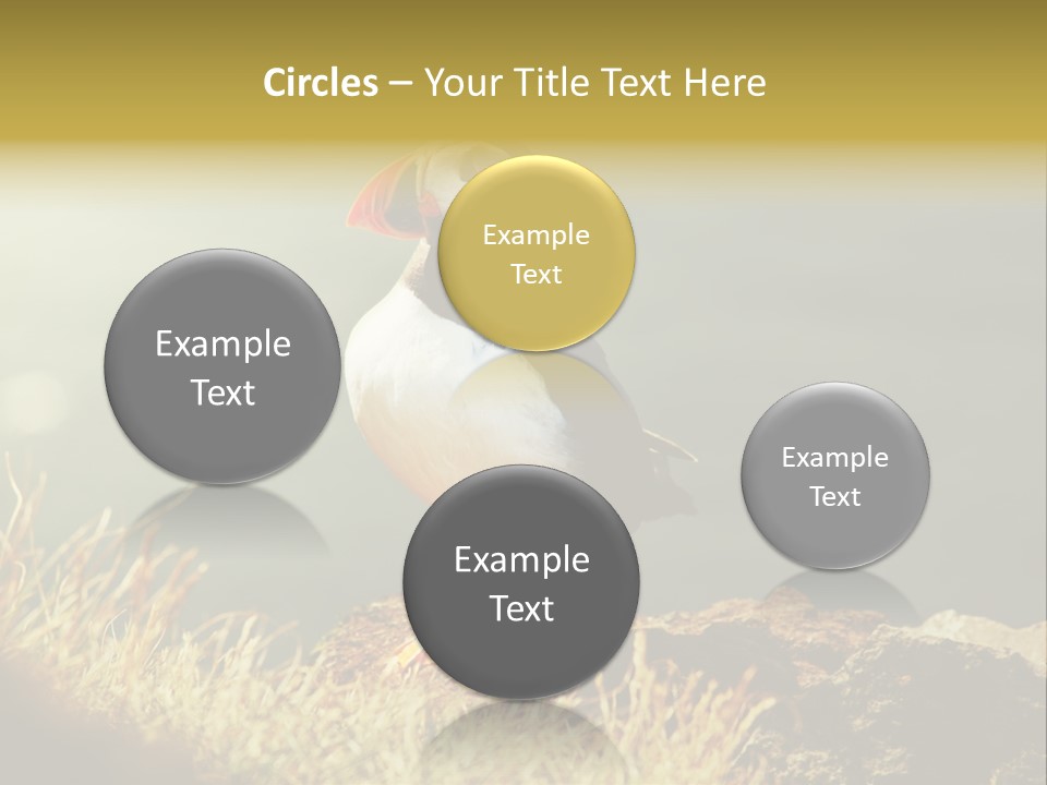 One Sea Life PowerPoint Template