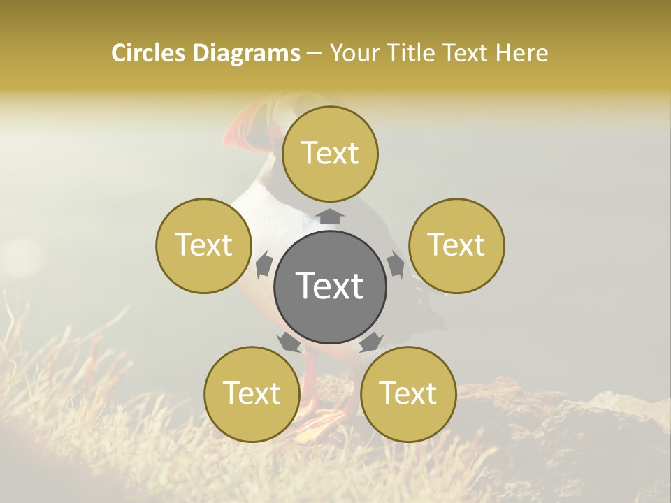 One Sea Life PowerPoint Template