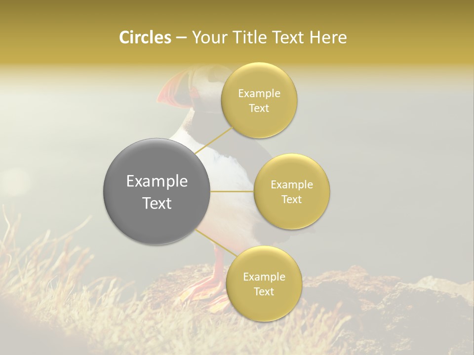 One Sea Life PowerPoint Template