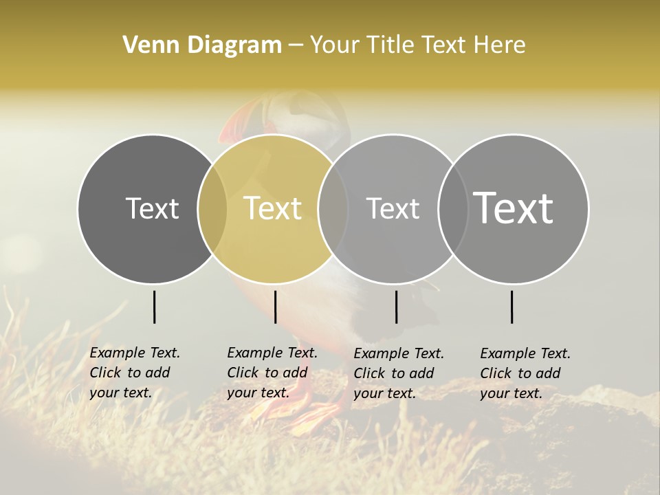 One Sea Life PowerPoint Template