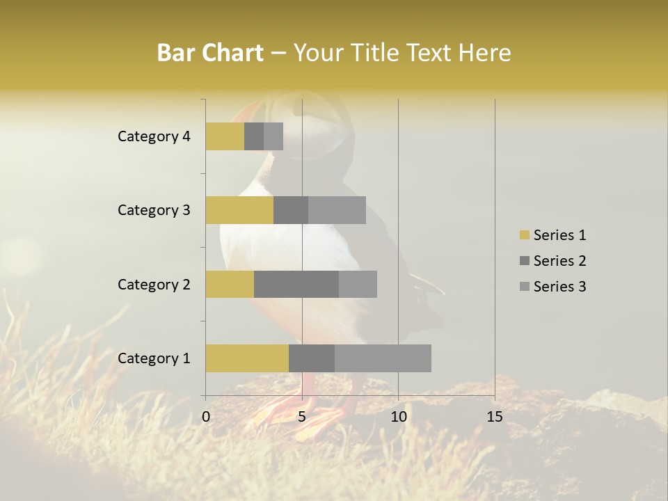 One Sea Life PowerPoint Template