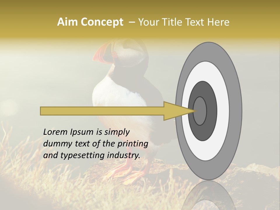 One Sea Life PowerPoint Template