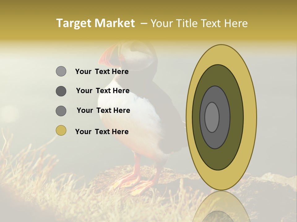 One Sea Life PowerPoint Template