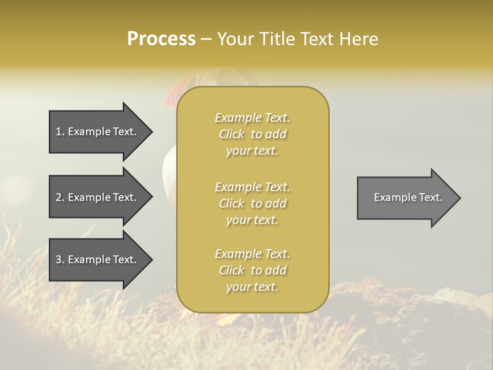 One Sea Life PowerPoint Template