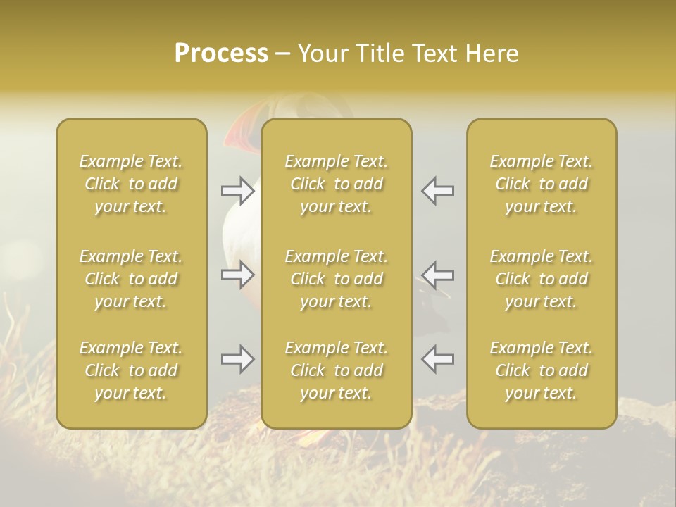 One Sea Life PowerPoint Template