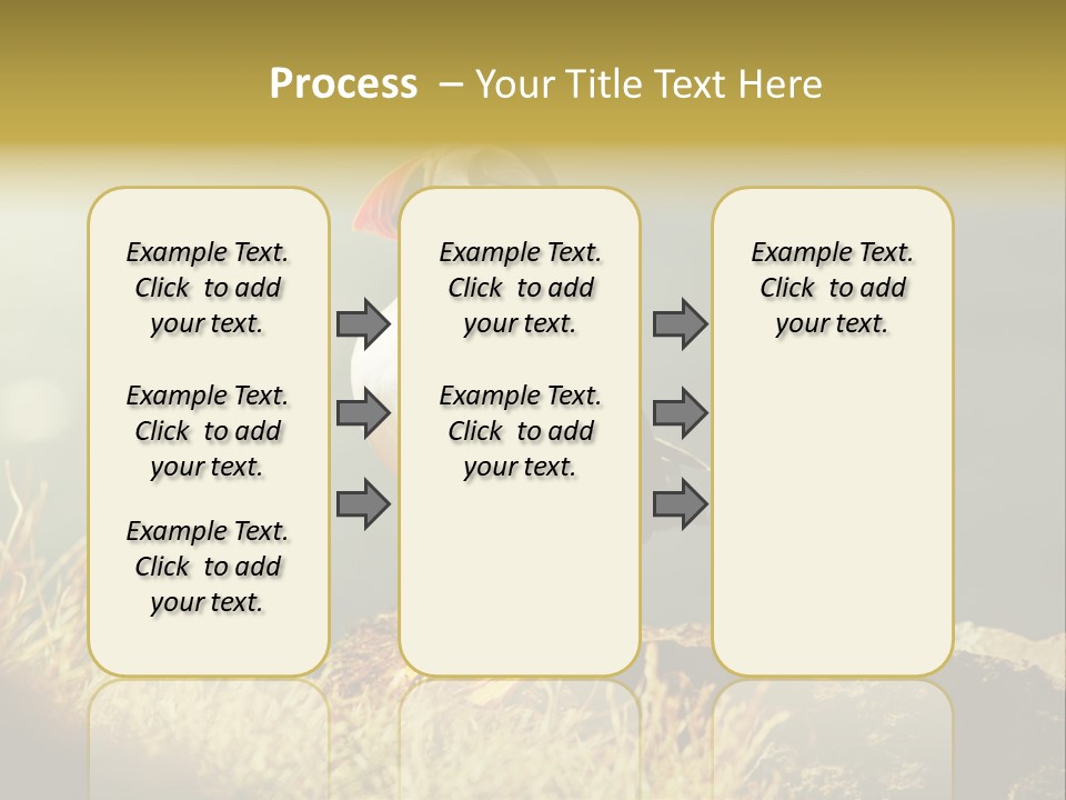 One Sea Life PowerPoint Template
