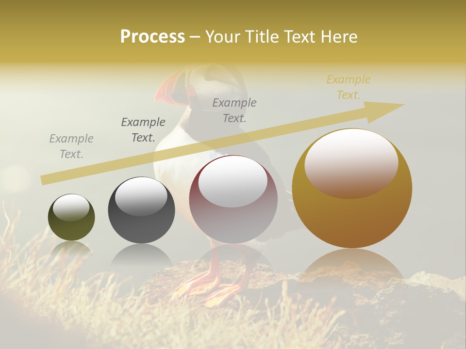 One Sea Life PowerPoint Template