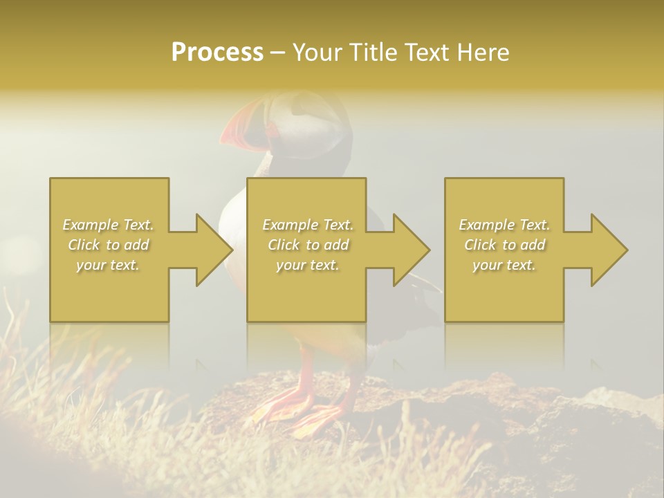 One Sea Life PowerPoint Template