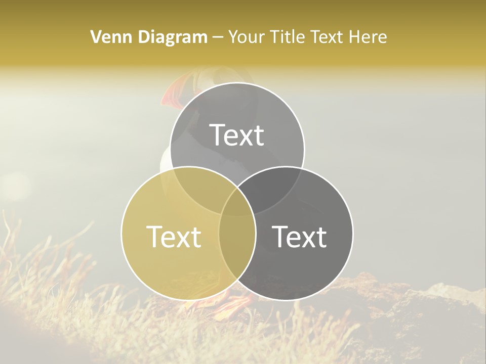 One Sea Life PowerPoint Template