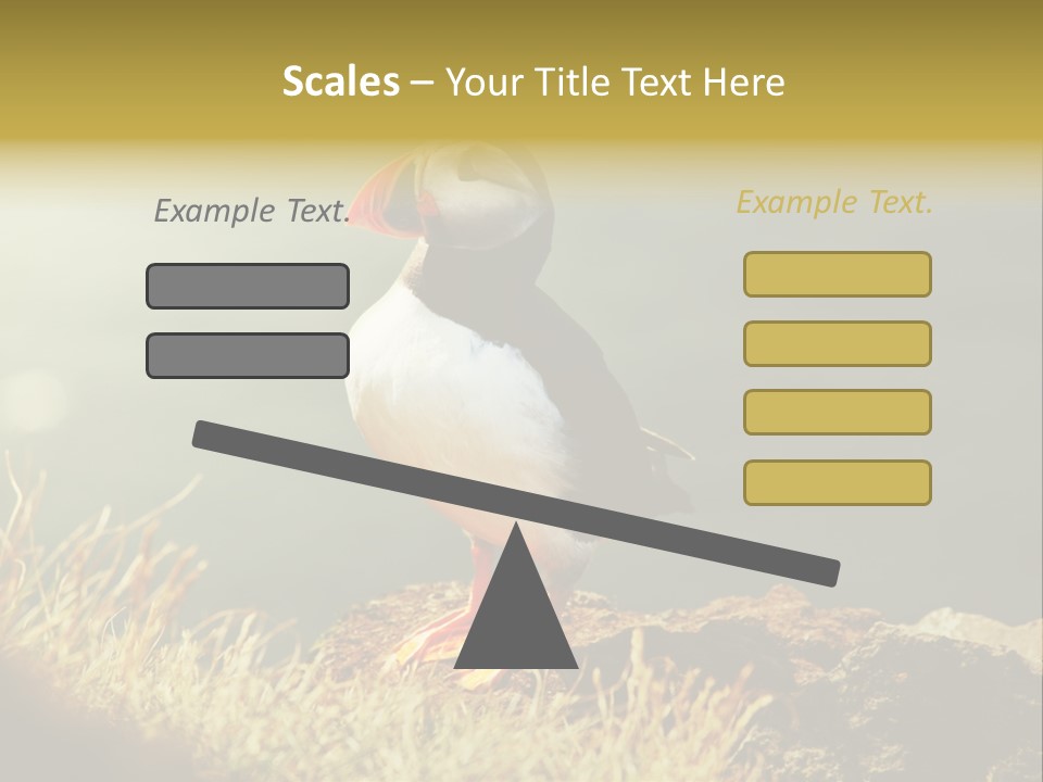 One Sea Life PowerPoint Template