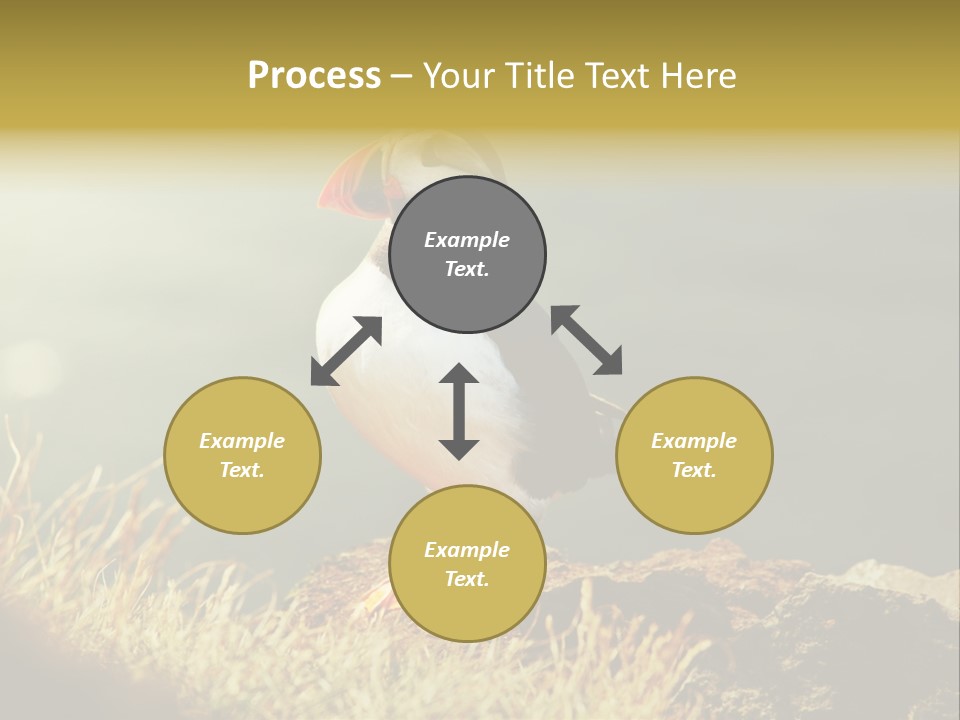 One Sea Life PowerPoint Template