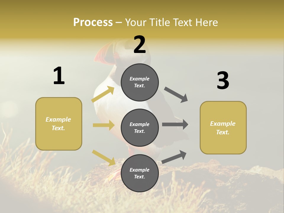 One Sea Life PowerPoint Template