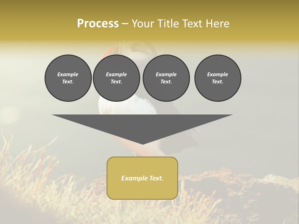 One Sea Life PowerPoint Template