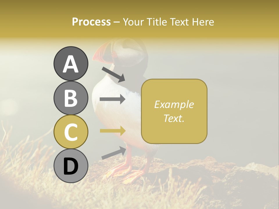 One Sea Life PowerPoint Template