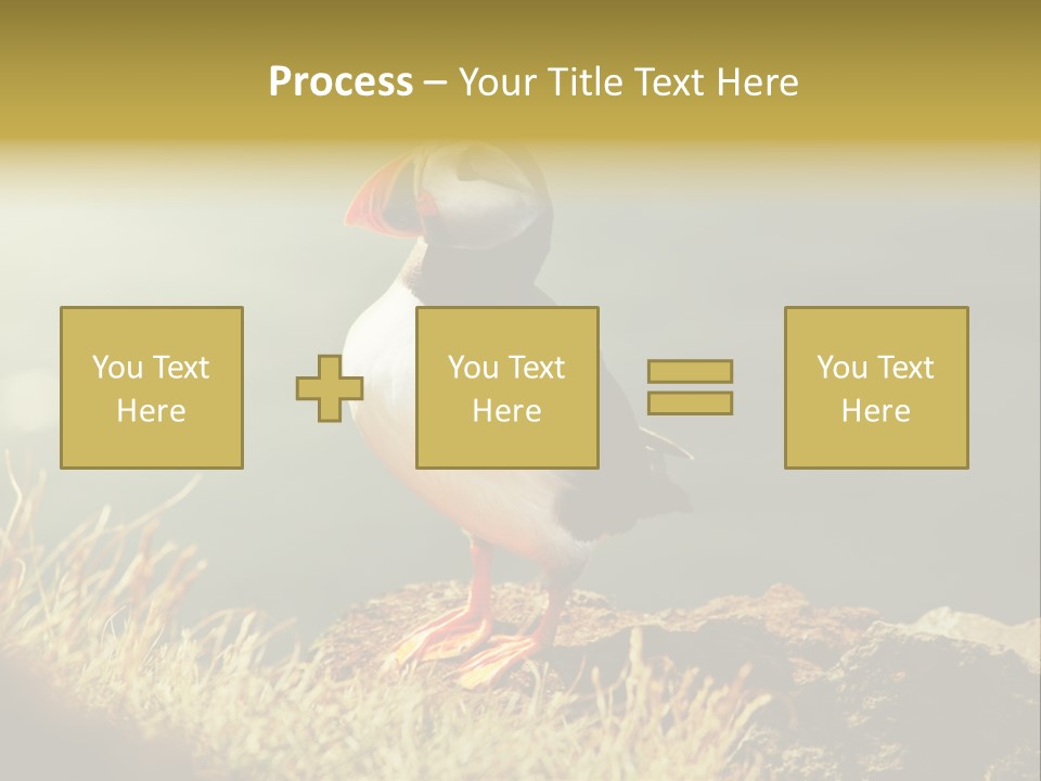 One Sea Life PowerPoint Template