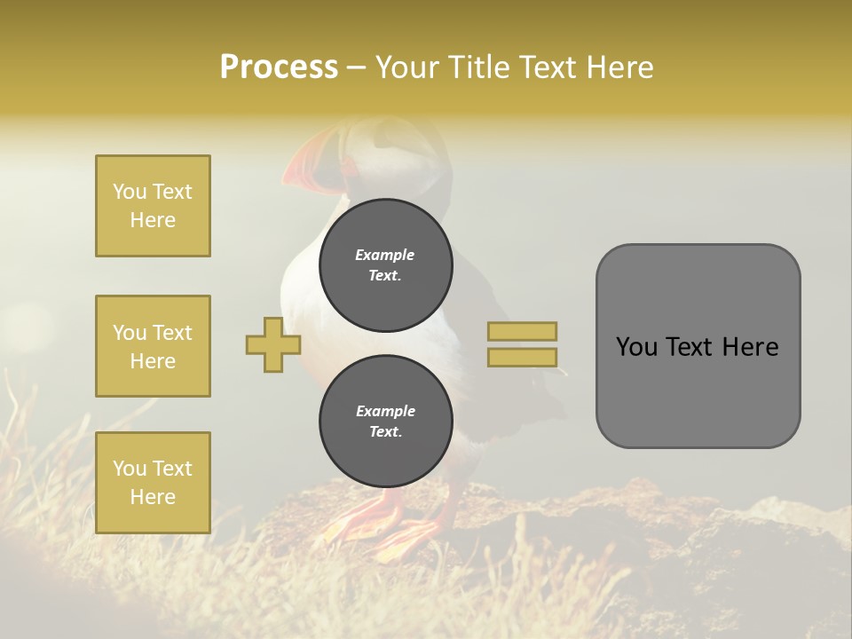 One Sea Life PowerPoint Template