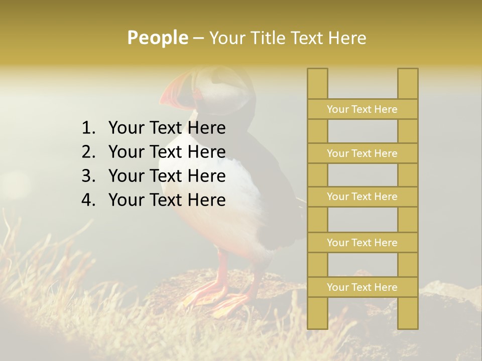 One Sea Life PowerPoint Template