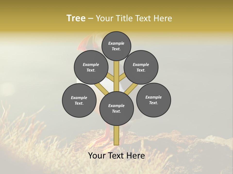 One Sea Life PowerPoint Template