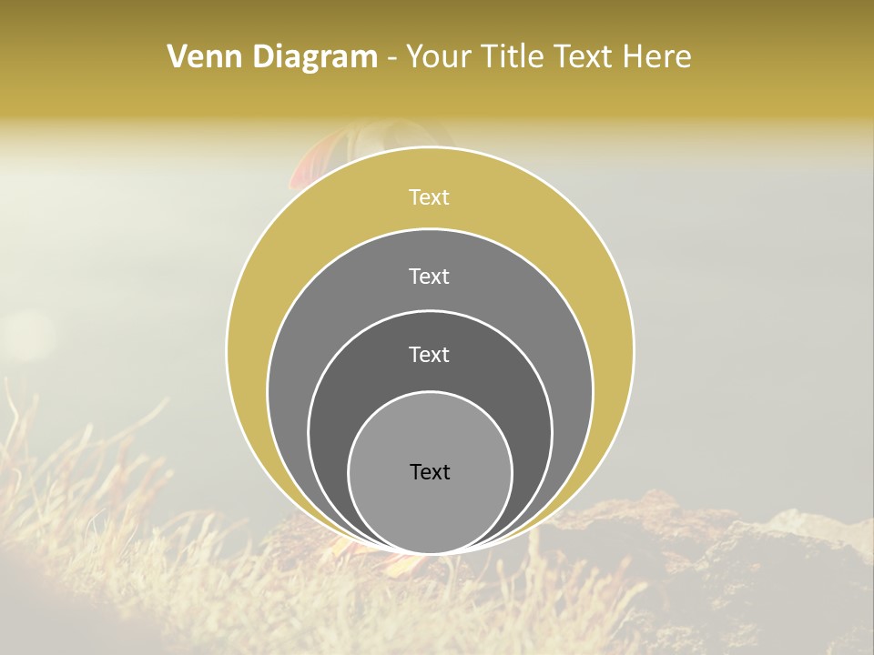 One Sea Life PowerPoint Template