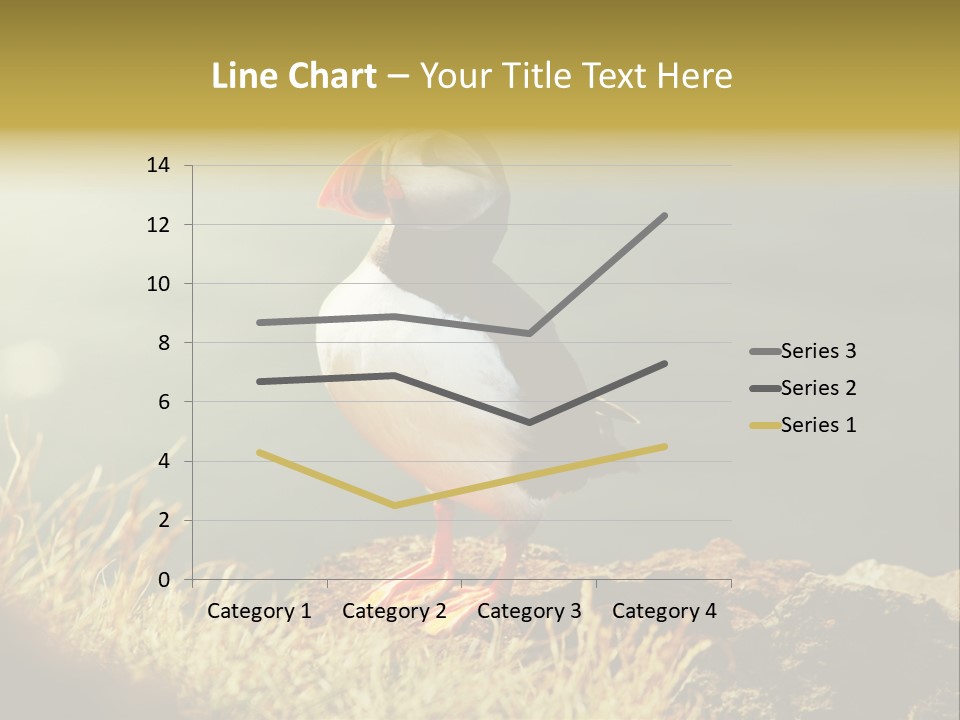 One Sea Life PowerPoint Template