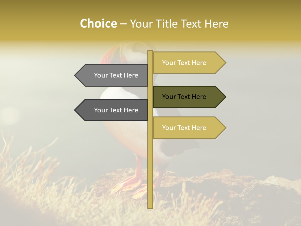 One Sea Life PowerPoint Template