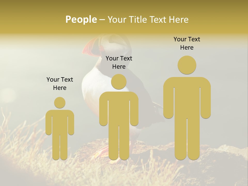 One Sea Life PowerPoint Template