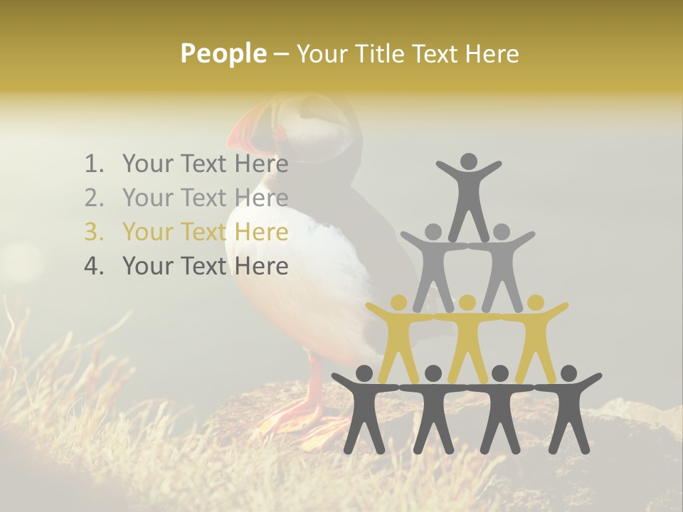 One Sea Life PowerPoint Template