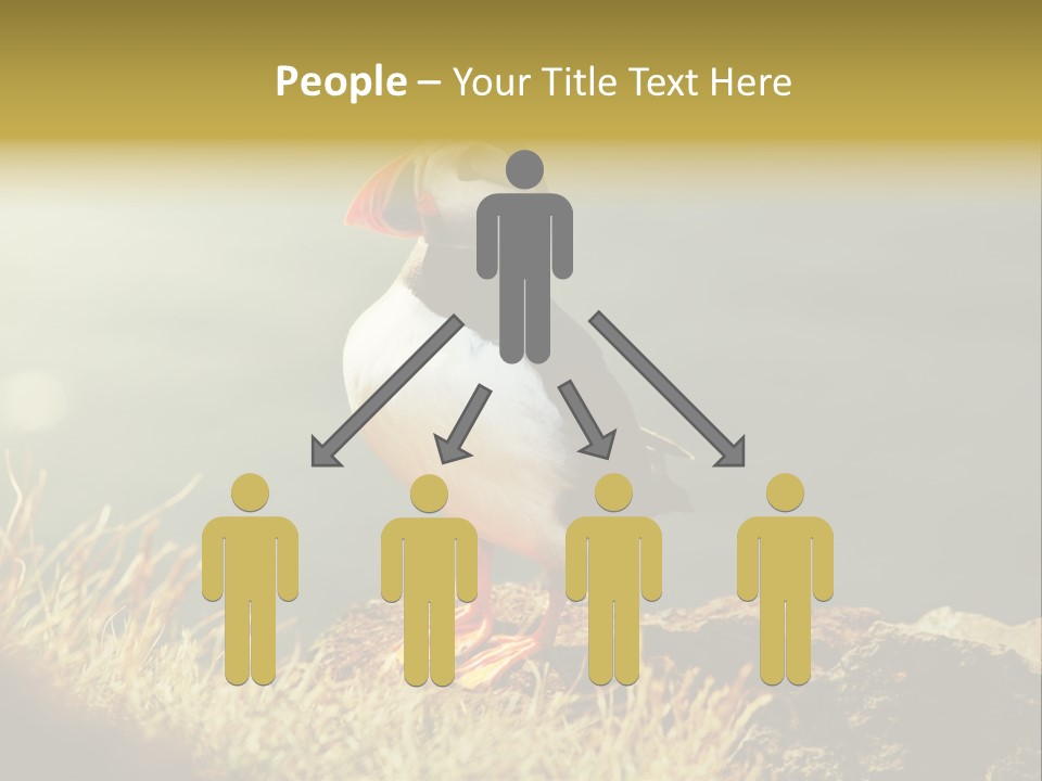 One Sea Life PowerPoint Template