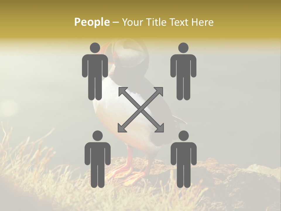 One Sea Life PowerPoint Template