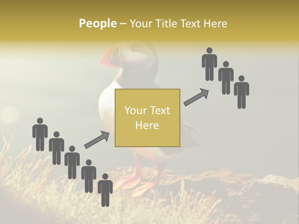 One Sea Life PowerPoint Template