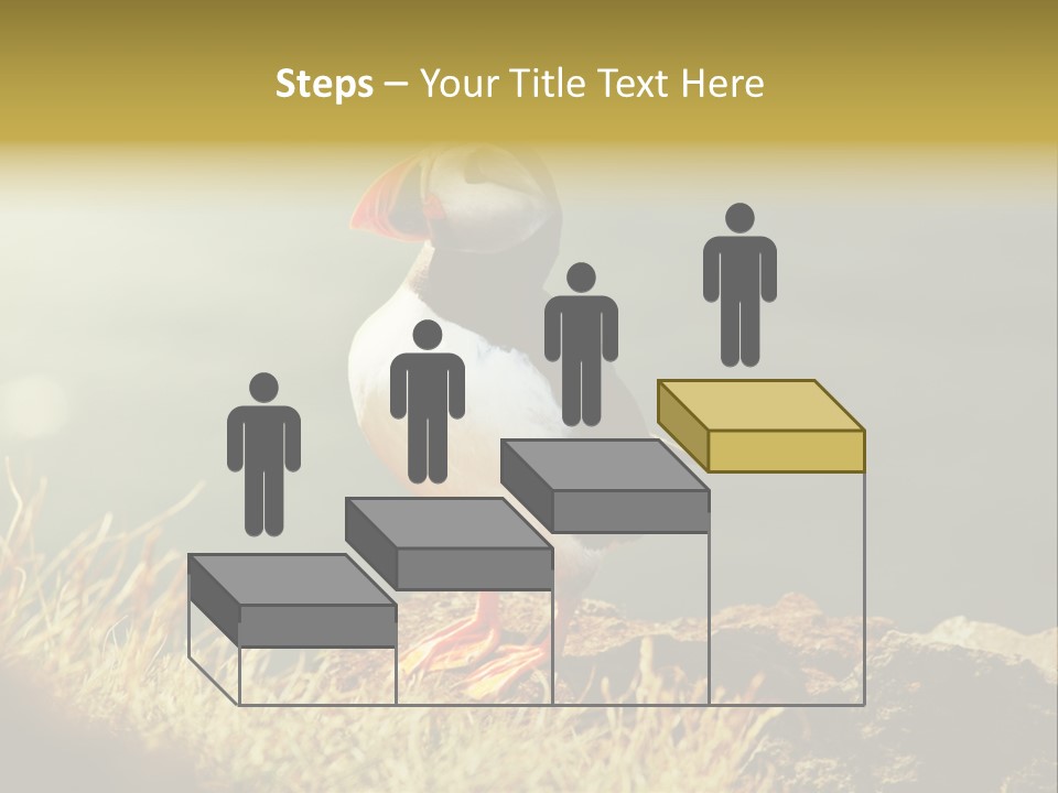 One Sea Life PowerPoint Template