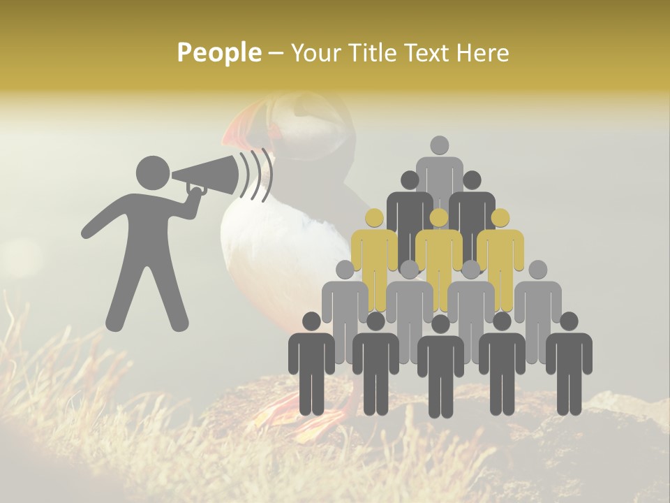 One Sea Life PowerPoint Template