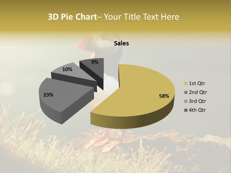 One Sea Life PowerPoint Template