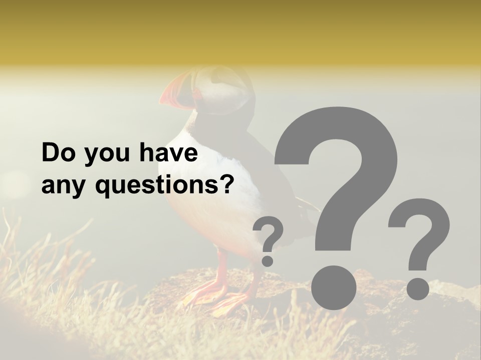 One Sea Life PowerPoint Template