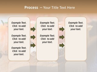 Lunch Onion Meal PowerPoint Template