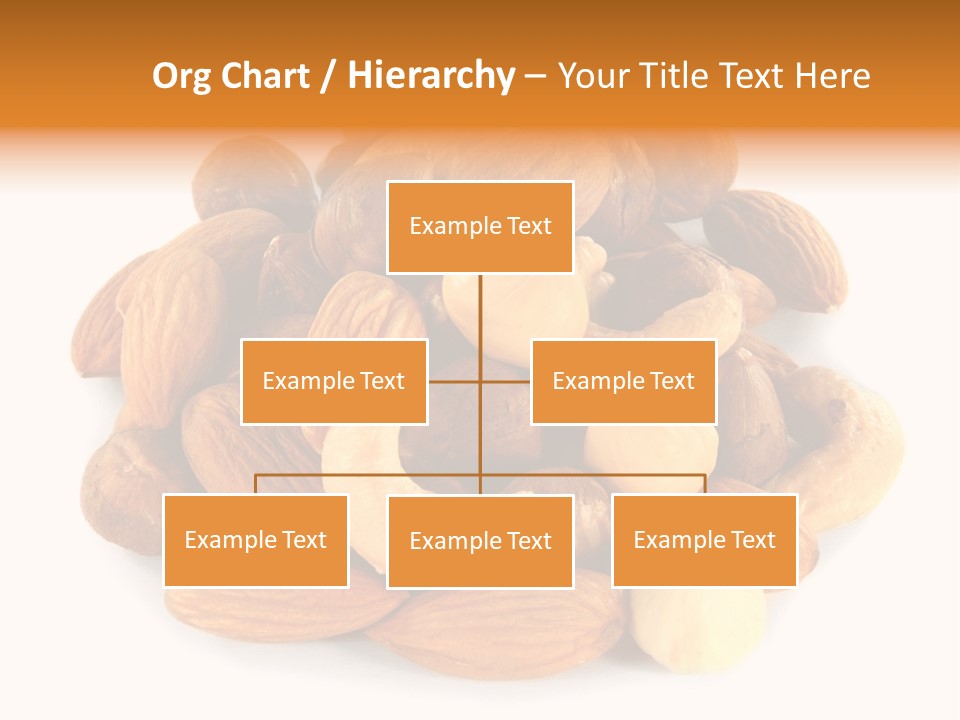 Macro Protein Peanut PowerPoint Template