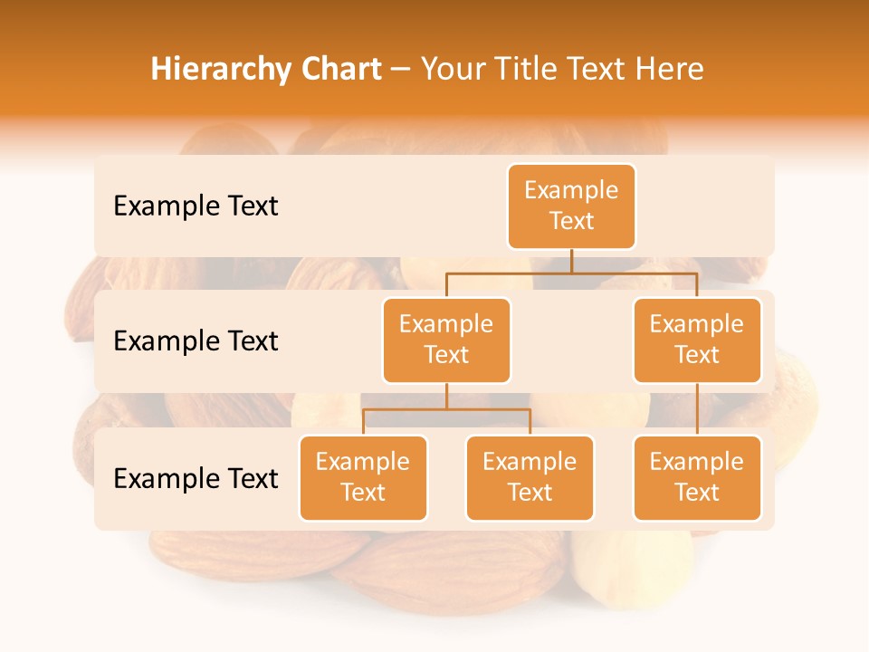 Macro Protein Peanut PowerPoint Template