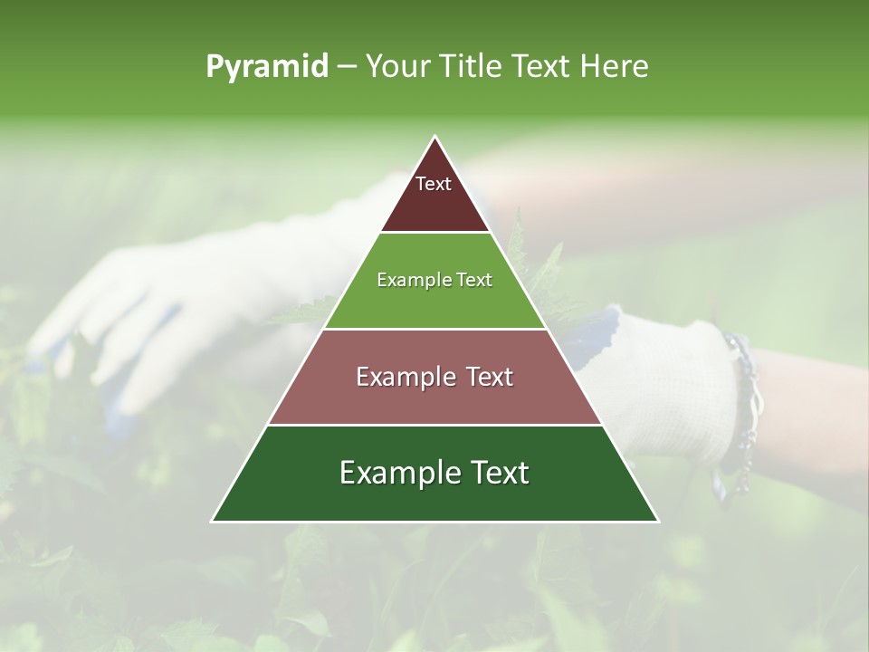 Kids Reading Communication PowerPoint Template