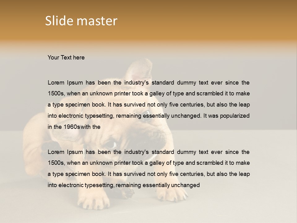 Puppy Indoor Pup PowerPoint Template