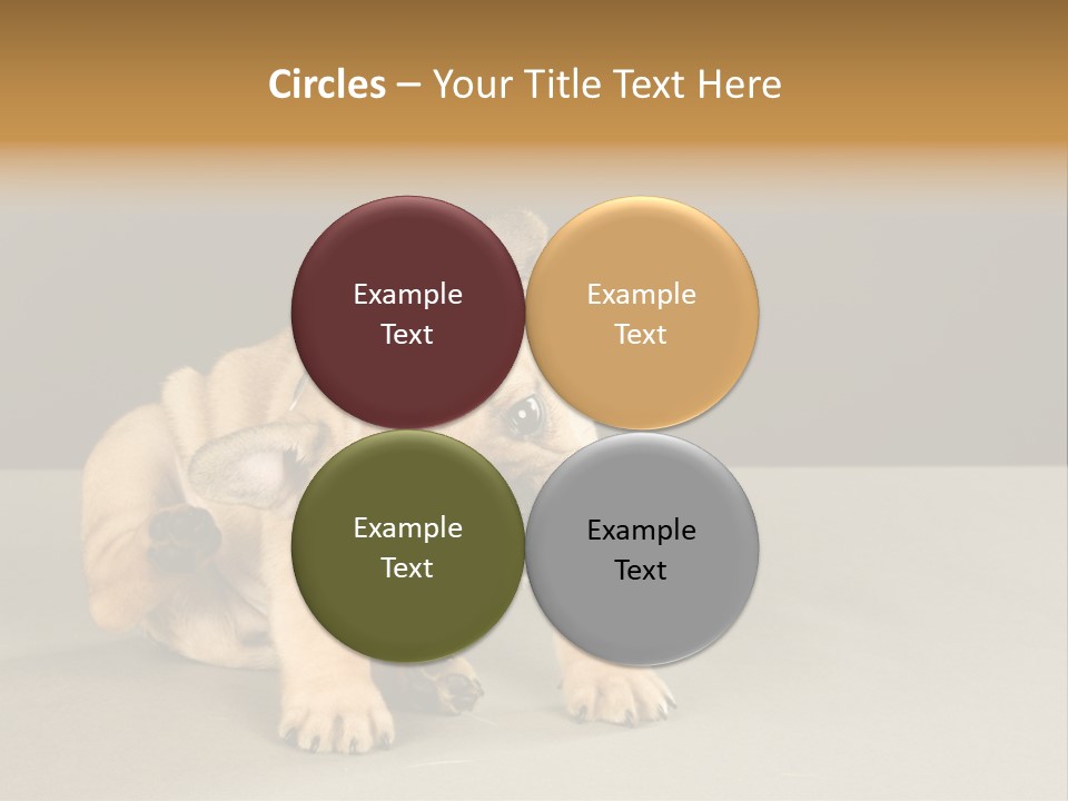Puppy Indoor Pup PowerPoint Template