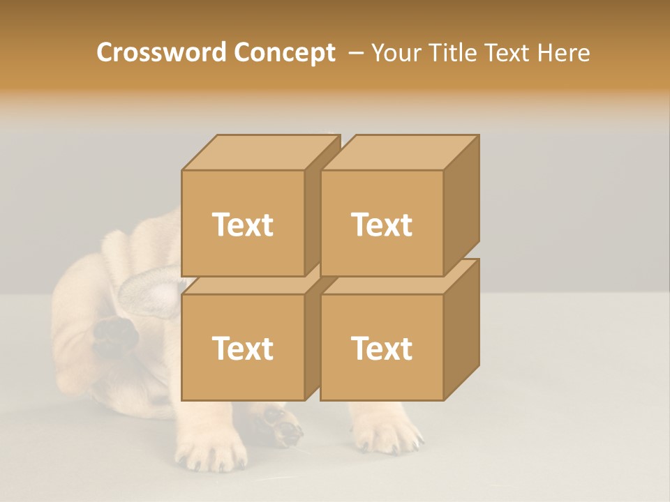 Puppy Indoor Pup PowerPoint Template