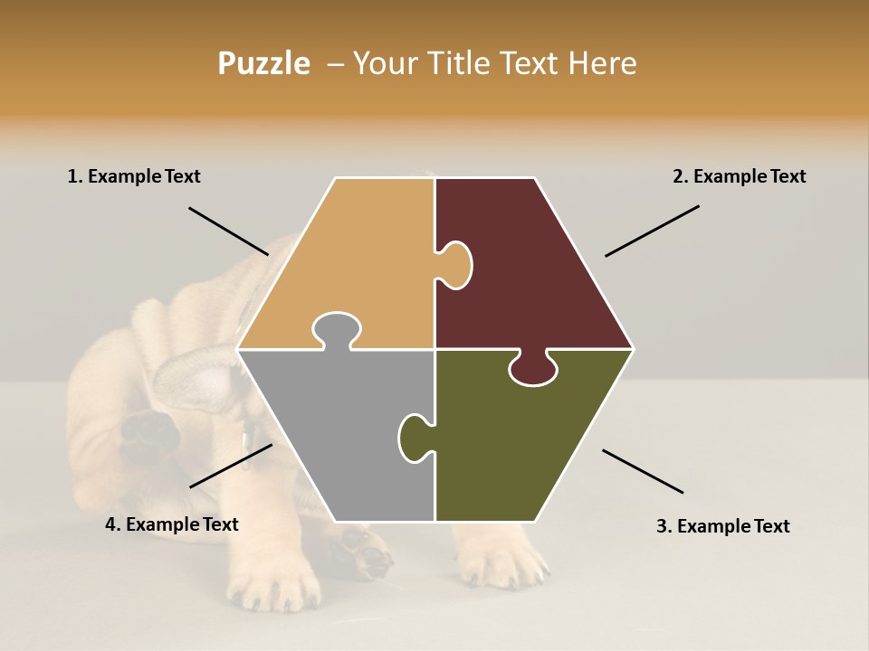 Puppy Indoor Pup PowerPoint Template