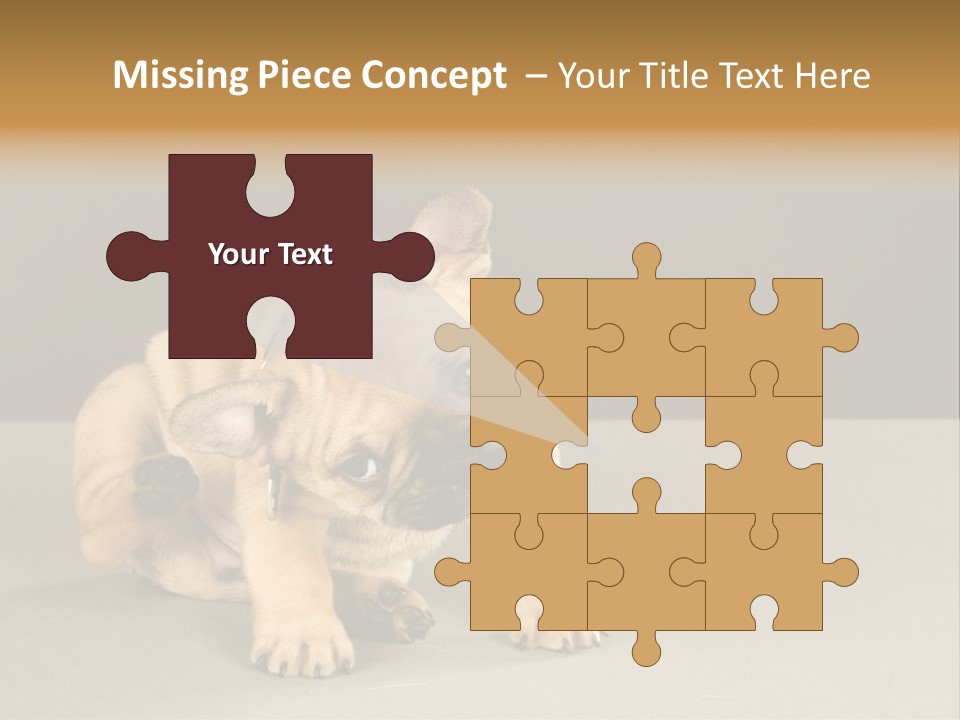 Puppy Indoor Pup PowerPoint Template