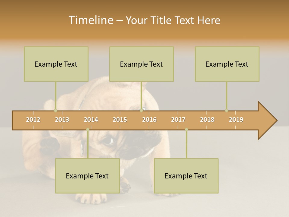 Puppy Indoor Pup PowerPoint Template