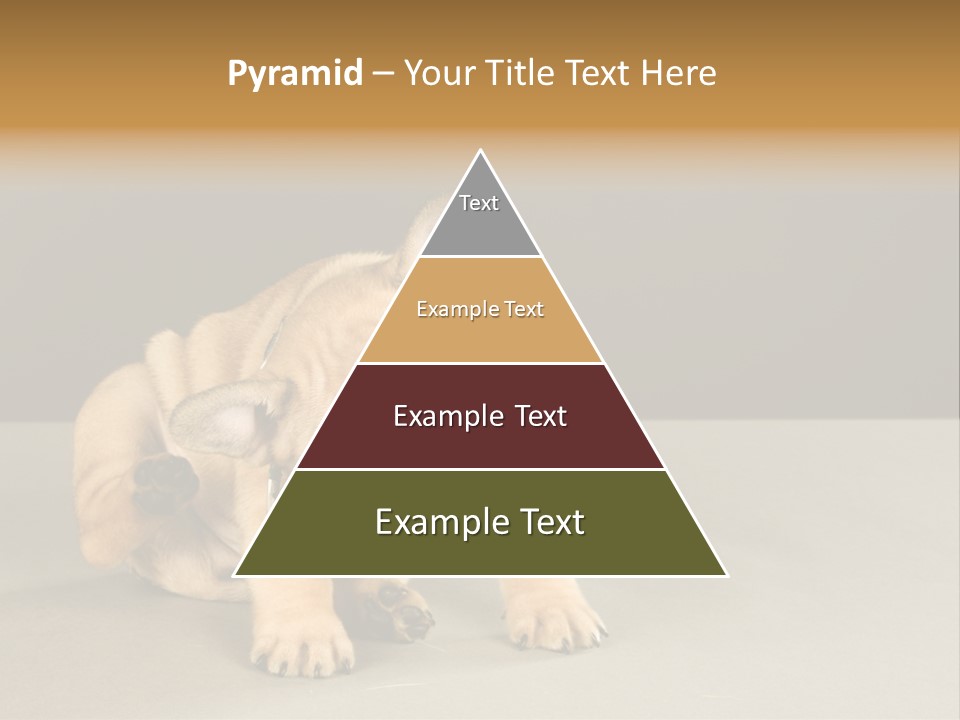 Puppy Indoor Pup PowerPoint Template