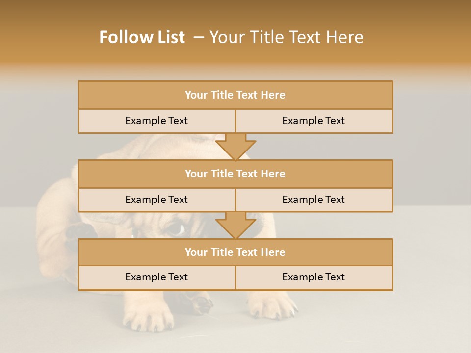 Puppy Indoor Pup PowerPoint Template