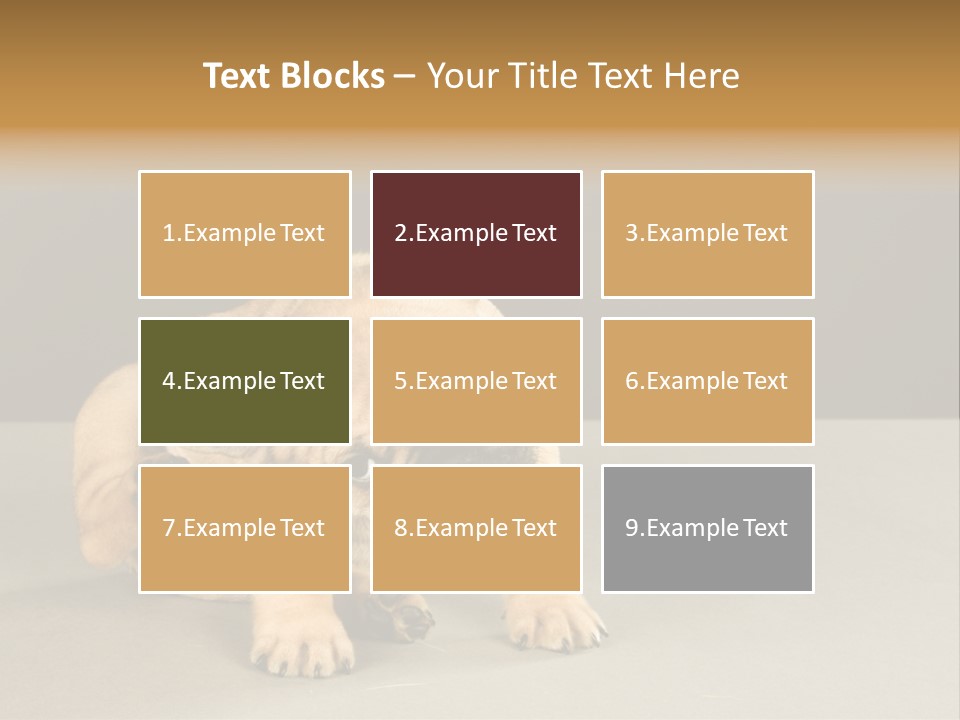 Puppy Indoor Pup PowerPoint Template