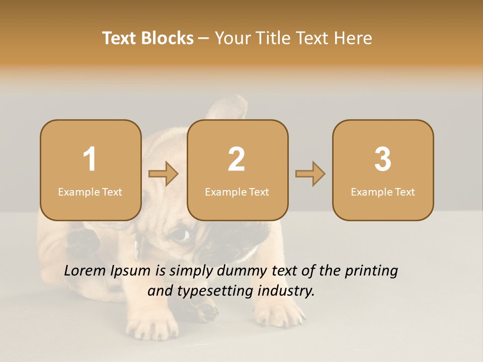 Puppy Indoor Pup PowerPoint Template