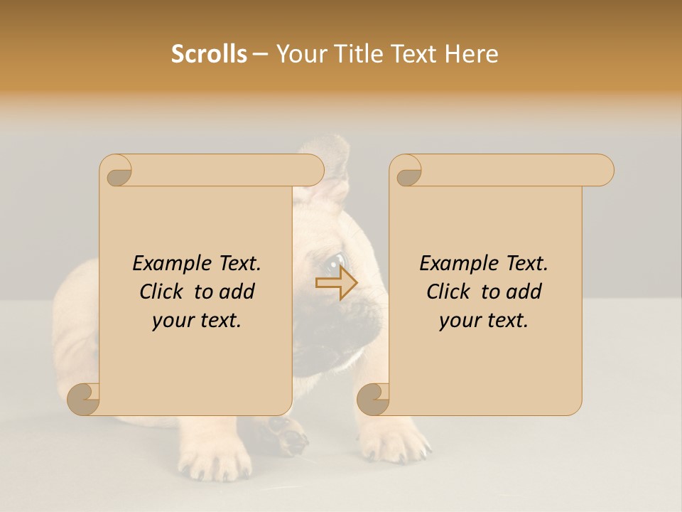 Puppy Indoor Pup PowerPoint Template